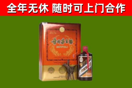 龙马潭区回收陈酿茅台酒
